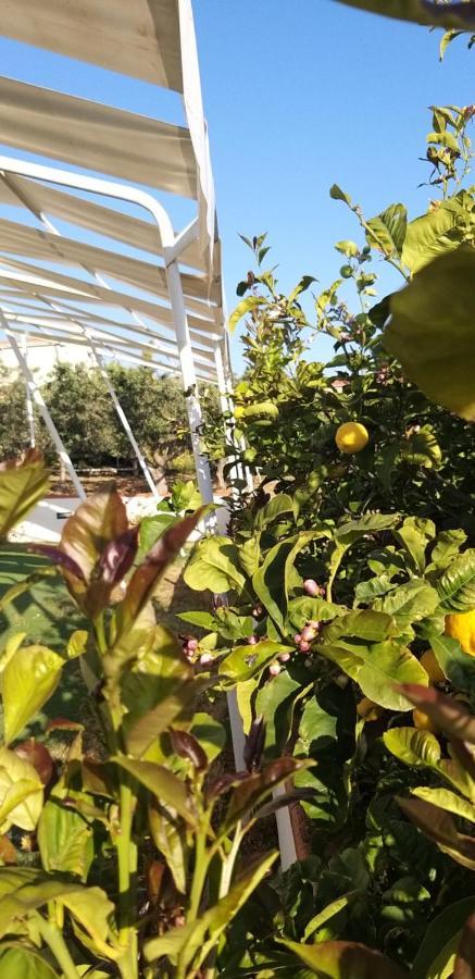 Hotel Locazione Turistica Le Fate Agrigento Zewnętrze zdjęcie